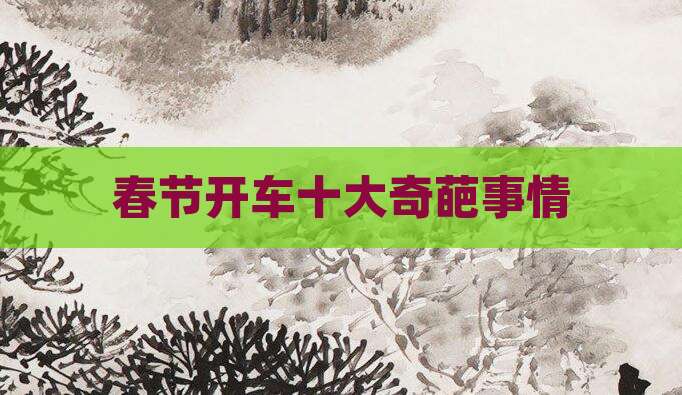 春节开车十大奇葩事情