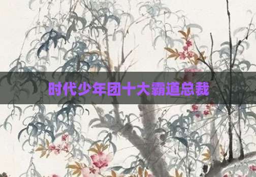 时代少年团十大霸道总裁