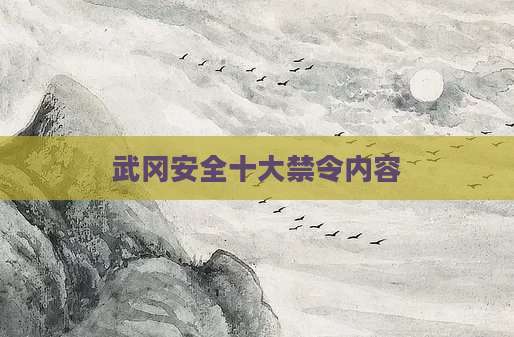 武冈安全十大禁令内容