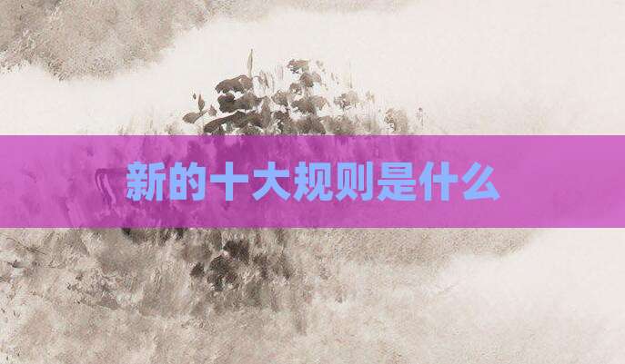 新的十大规则是什么