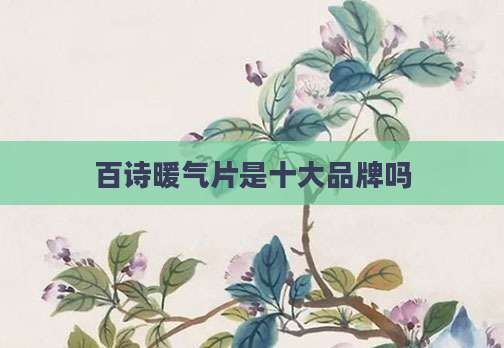 百诗暖气片是十大品牌吗
