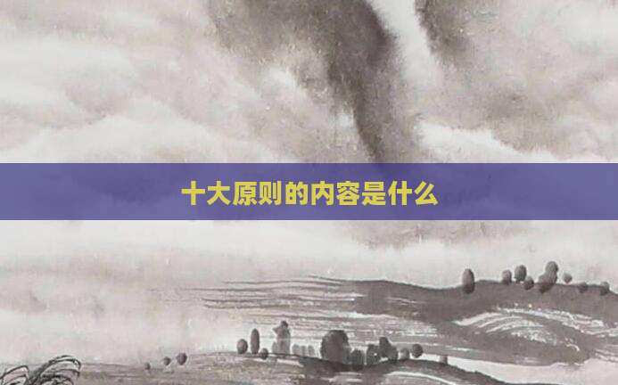 十大原则的内容是什么
