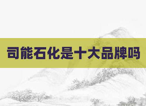 司能石化是十大品牌吗
