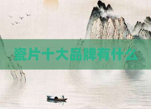 瓷片十大品牌有什么