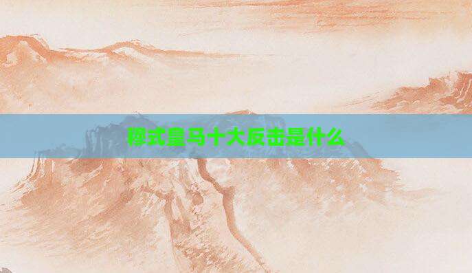 穆式皇马十大反击是什么