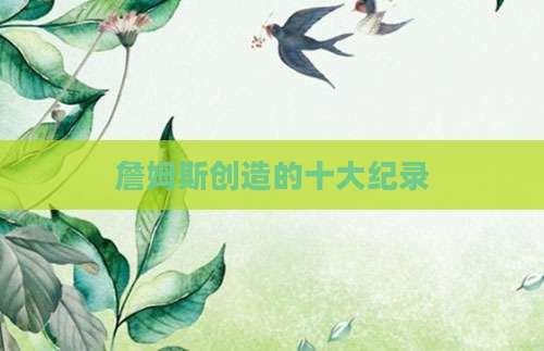 詹姆斯创造的十大纪录