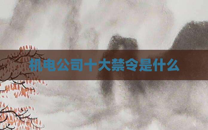 机电公司十大禁令是什么