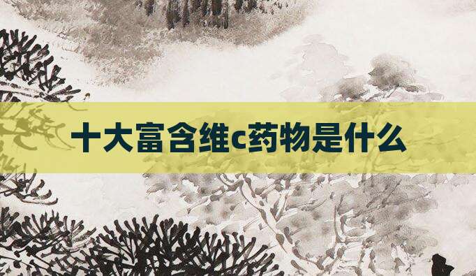 十大富含维c药物是什么