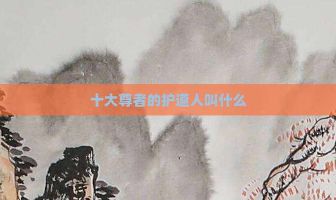 十大尊者的护道人叫什么