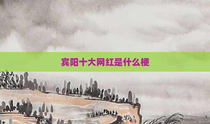 宾阳十大网红是什么梗