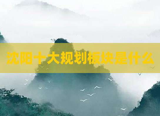 沈阳十大规划板块是什么