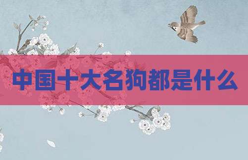 中国十大名狗都是什么