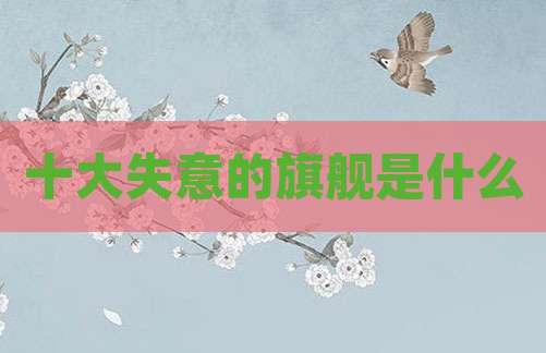 十大失意的旗舰是什么