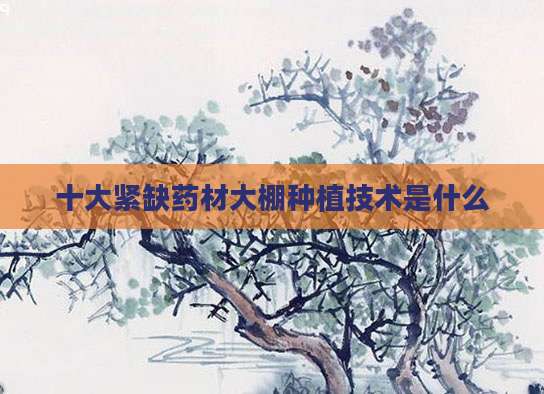 十大紧缺药材大棚种植技术是什么