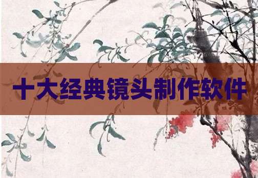十大经典镜头制作软件
