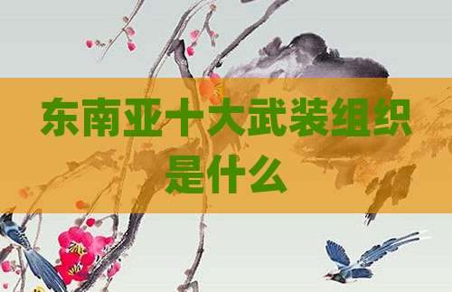东南亚十大武装组织是什么