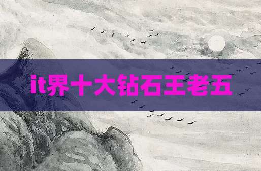 it界十大钻石王老五