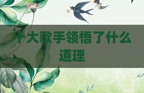 十大歌手领悟了什么道理