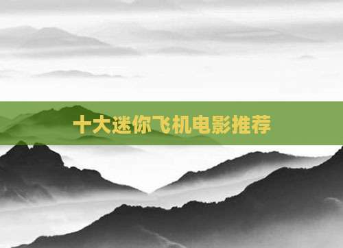 十大迷你飞机电影推荐