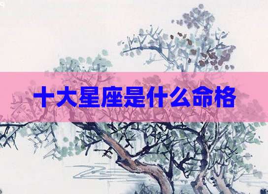十大星座是什么命格