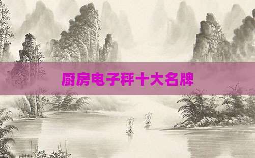 厨房电子秤十大名牌
