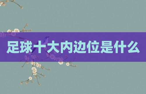 足球十大内边位是什么