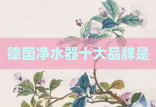 德国净水器十大品牌是