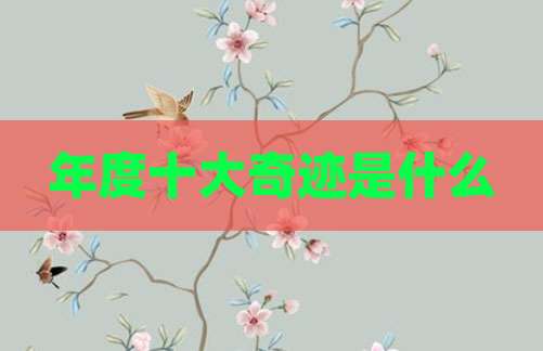 年度十大奇迹是什么