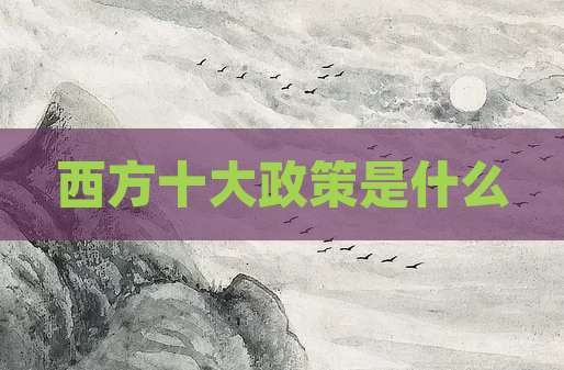西方十大政策是什么