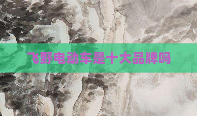 飞野电动车是十大品牌吗