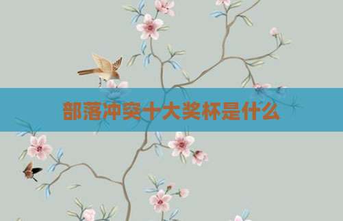 部落冲突十大奖杯是什么