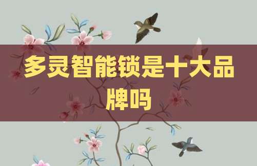 多灵智能锁是十大品牌吗