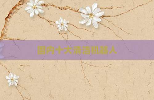 国内十大清洁机器人