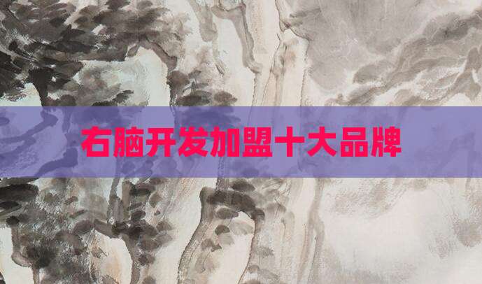 右脑开发加盟十大品牌