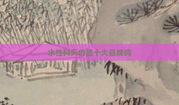 水性科天的是十大品牌吗