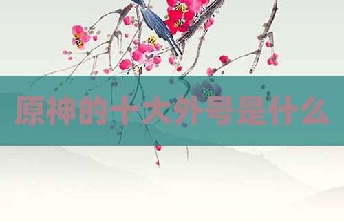 原神的十大外号是什么
