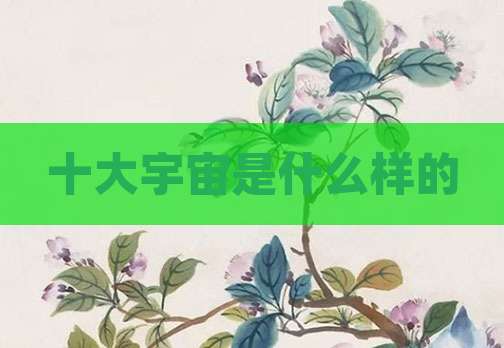 十大宇宙是什么样的