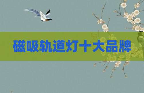 磁吸轨道灯十大品牌