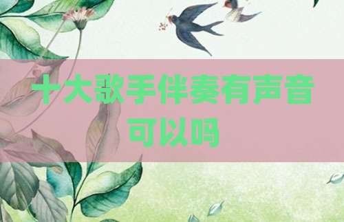 十大歌手伴奏有声音可以吗