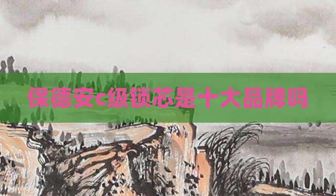 保德安c级锁芯是十大品牌吗