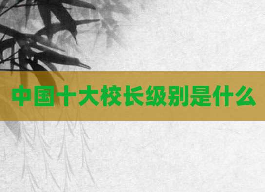 中国十大校长级别是什么