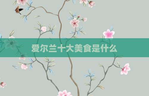 爱尔兰十大美食是什么