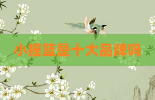 小摇篮是十大品牌吗