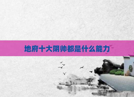 地府十大阴帅都是什么能力