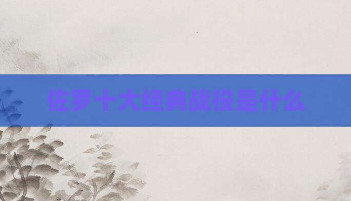 佐罗十大经典战役是什么