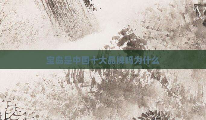 宝岛是中国十大品牌吗为什么