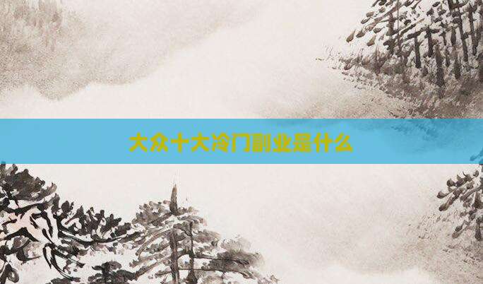 大众十大冷门副业是什么
