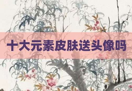 十大元素皮肤送头像吗