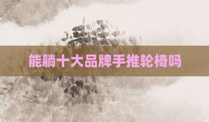 能躺十大品牌手推轮椅吗