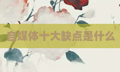 自媒体十大缺点是什么